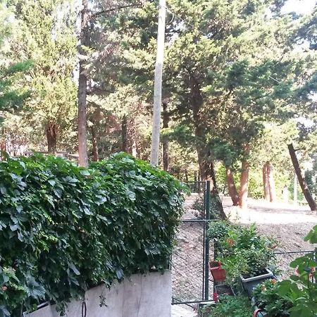Anamarija Apartman Ντουμπρόβνικ Εξωτερικό φωτογραφία