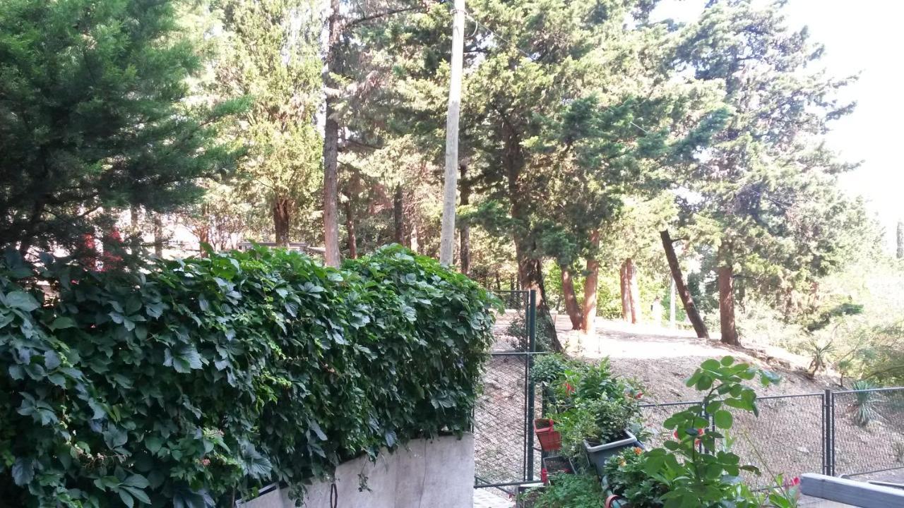 Anamarija Apartman Ντουμπρόβνικ Εξωτερικό φωτογραφία