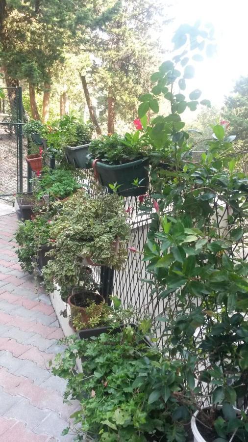 Anamarija Apartman Ντουμπρόβνικ Εξωτερικό φωτογραφία